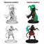 Nolzurs Marvelous Miniatures - Tiefling Sorceror